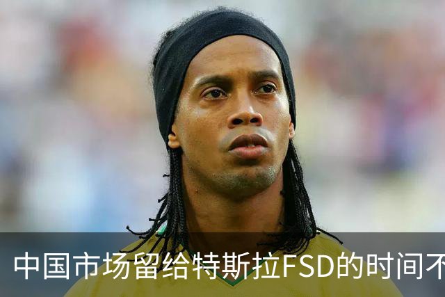 中国市场留给特斯拉FSD的时间不多了？