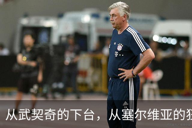 从武契奇的下台，从塞尔维亚的狂欢，来分析中国网友的眼界和素养